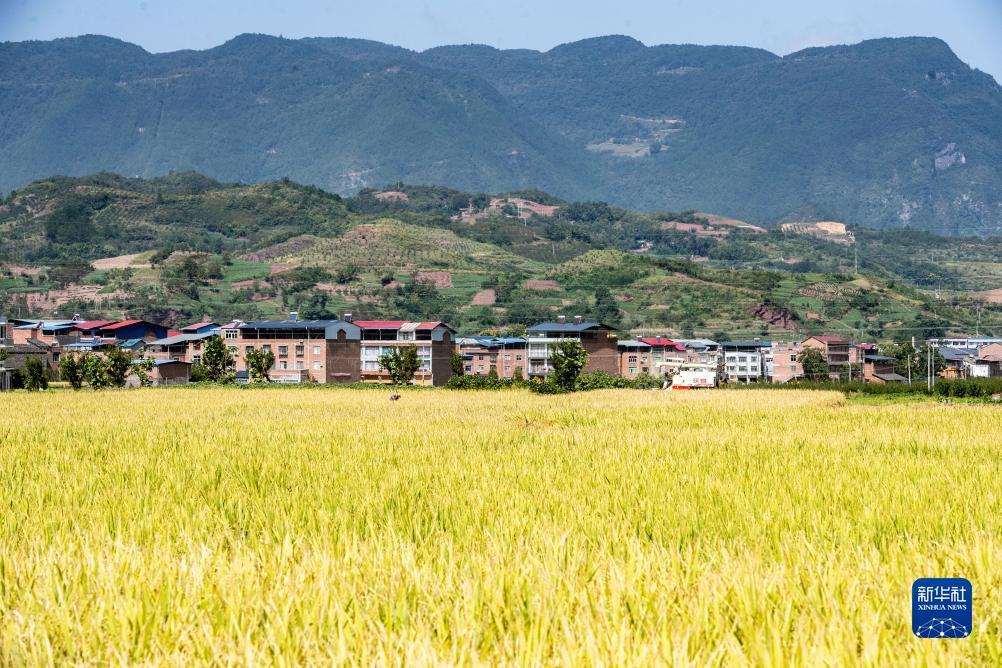 威尼斯线路测试中心